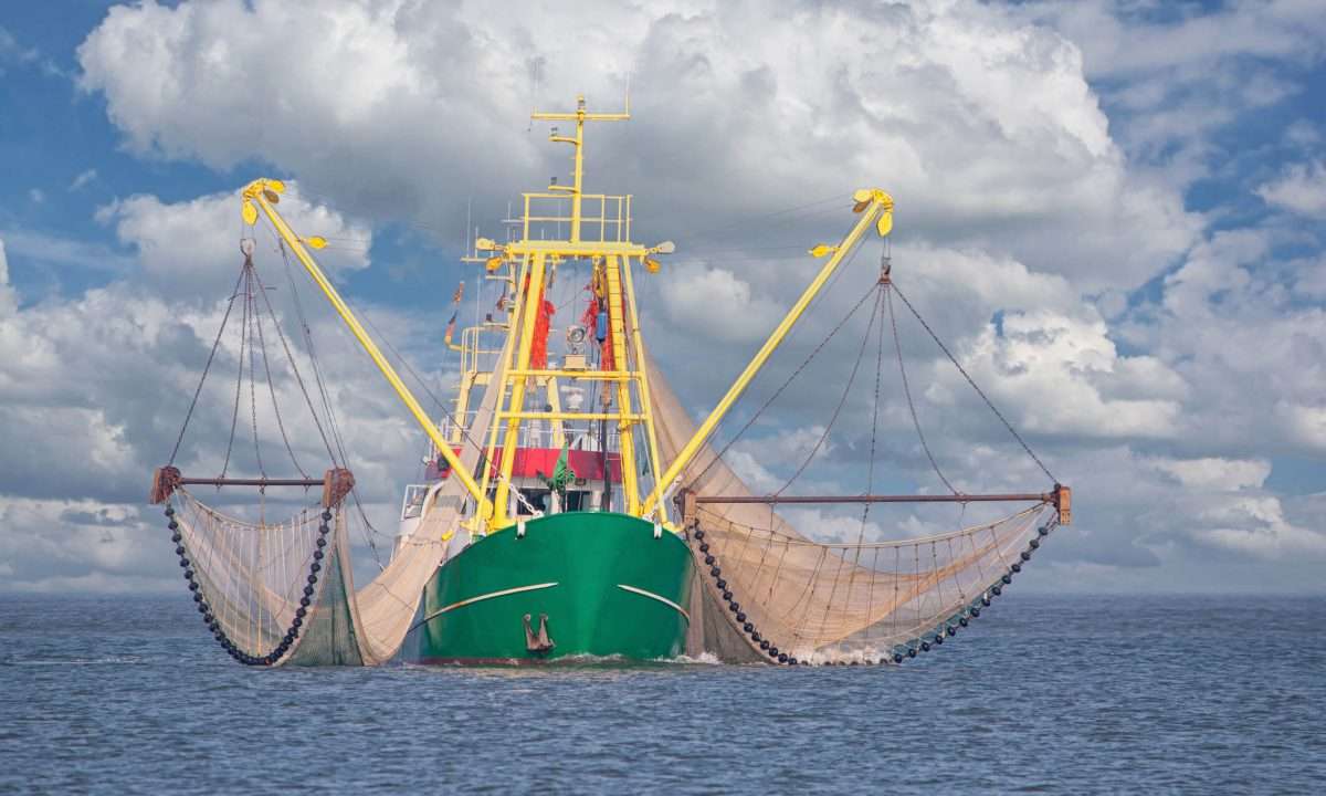French Seafood Processor Saves Up to 36% in Energy With CO₂ Cooling/Heating